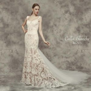 Calle Blanche Chloe 16245 Wedding Dress Sample Sale - Fit and flare style dress with a beautiful nude lining beaded lace, low back & elegant tulle train.