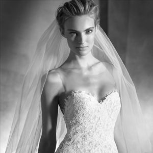 Pronovias Isabella Wedding Dress - Elegant lace ballgown style dress with floral details throughout the bodice, and sweetheart neckline.