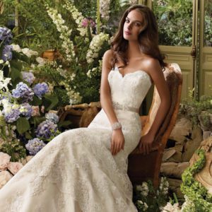 Tara Keely 2052 Wedding Dress Front – Ivory tulle, fit and flare, Alencon lace appliques, strapless sweetheart bodice and chapel train.