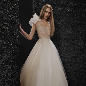 Vera Wang x Pronovias Marion Wedding Dress Sample Sale - Nude soft Tulle and beaded A-line dress featuring an embellished long sleeve and illusion neckline.